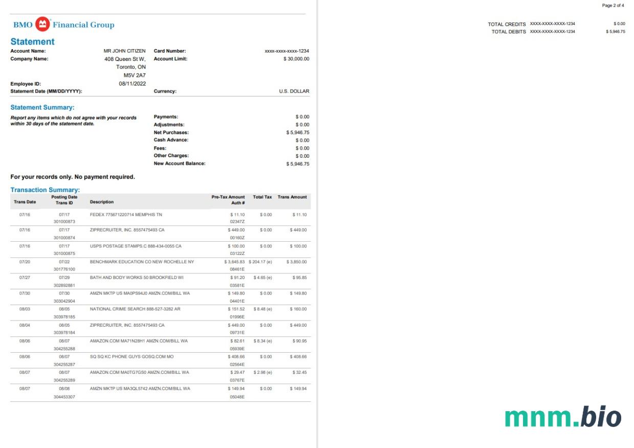 USA BMO Harris wyciąg bankowy szablon Worda i PDF, 3 stronas